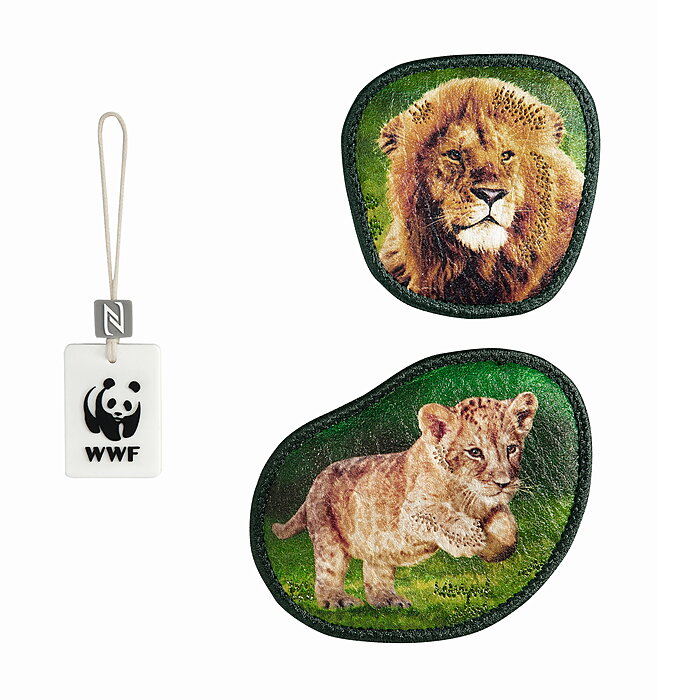 Step by Step Magic Mags WWF Little Lion Bild 2